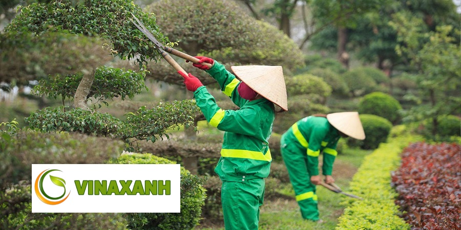 Chăm Sóc Cảnh Quan Tphcm
