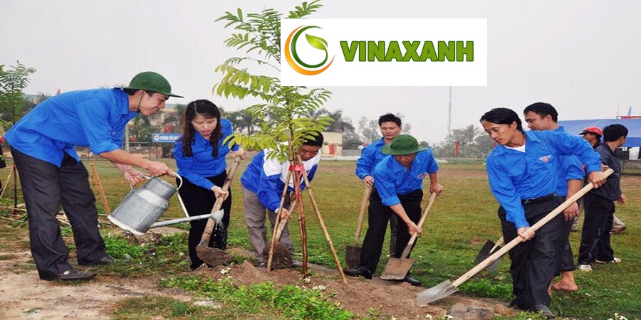 Trồng Cây Xanh Tại Quận 7 TPHCM