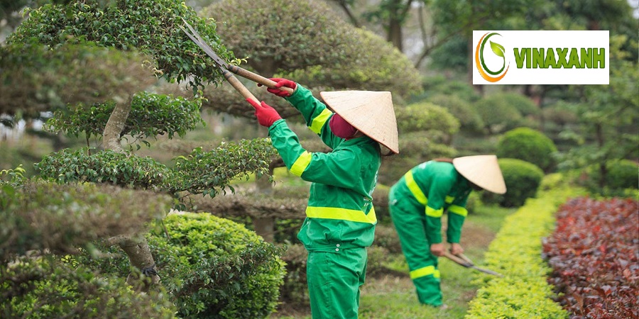 Chăm Sóc Cảnh Quan Quận 1 tphcm